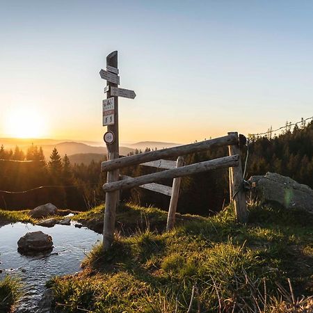 Waldhotel Fehrenbach Hinterzarten Eksteriør billede