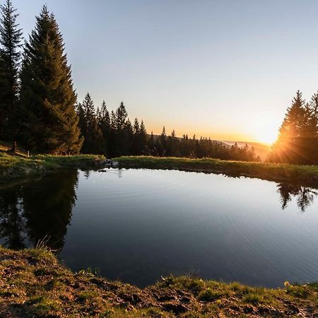 Waldhotel Fehrenbach Hinterzarten Eksteriør billede