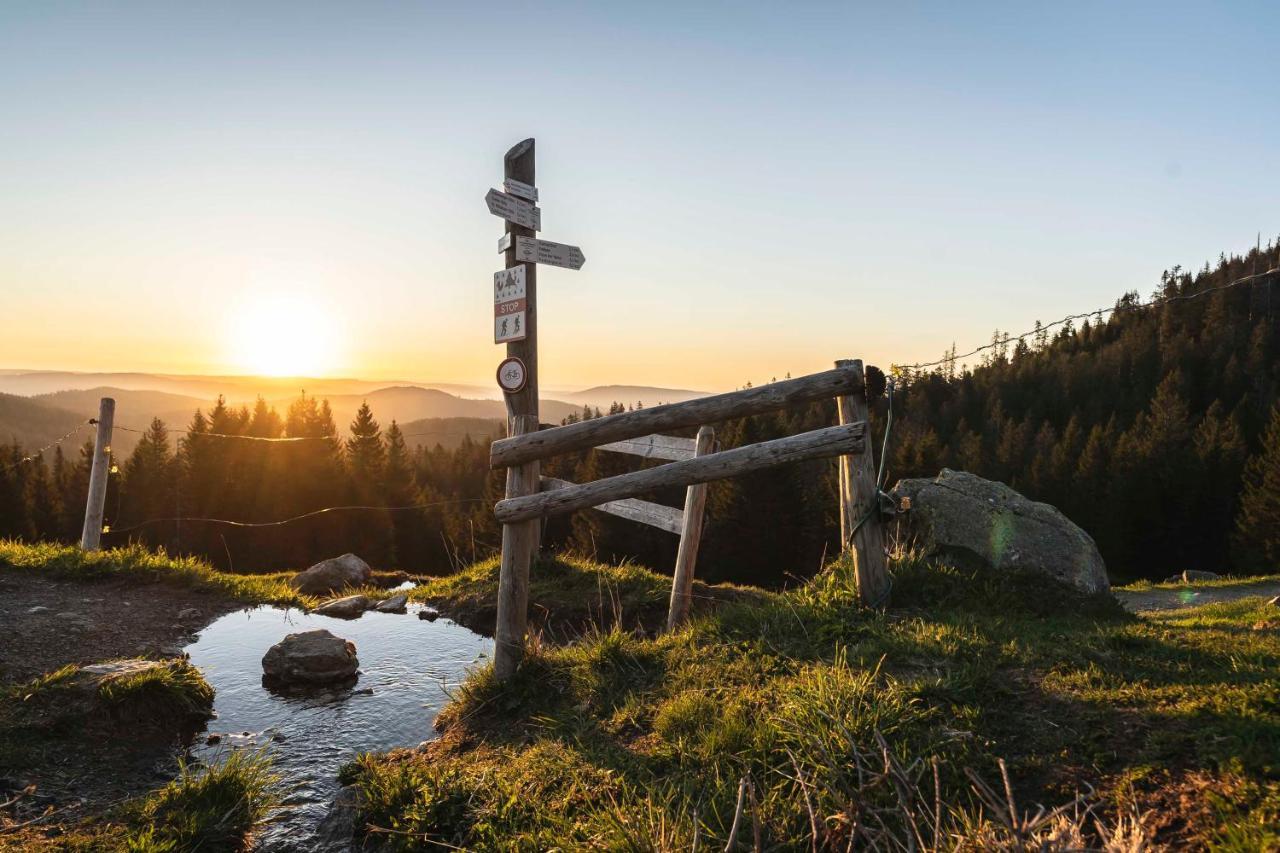 Waldhotel Fehrenbach Hinterzarten Eksteriør billede