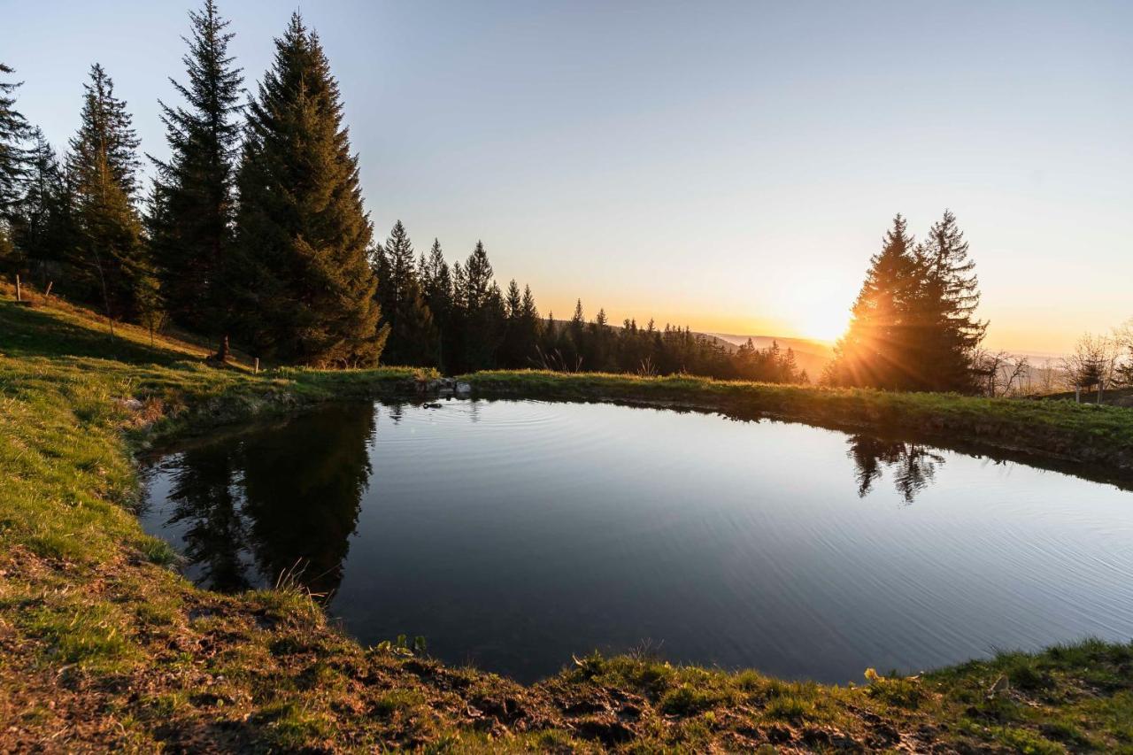 Waldhotel Fehrenbach Hinterzarten Eksteriør billede
